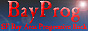 BayProg