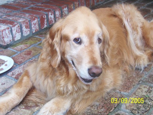 Buddy, March 9, 2005